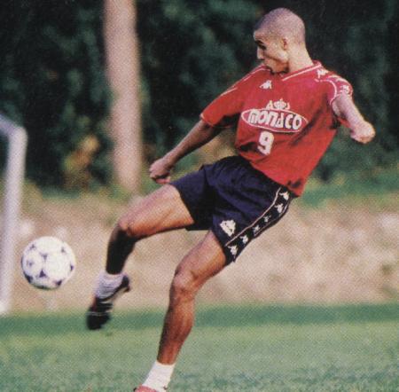david
